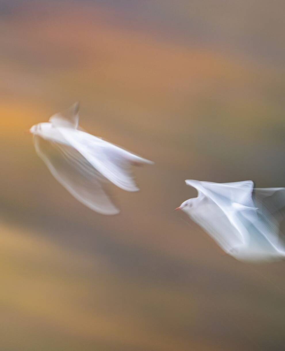 Au seuil de l'invisible