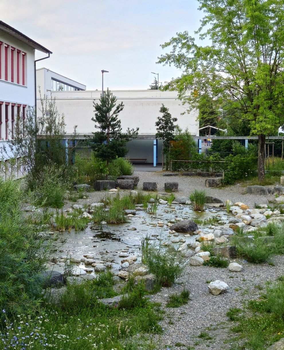 Feuchtfläche im Siedlungsgebiet