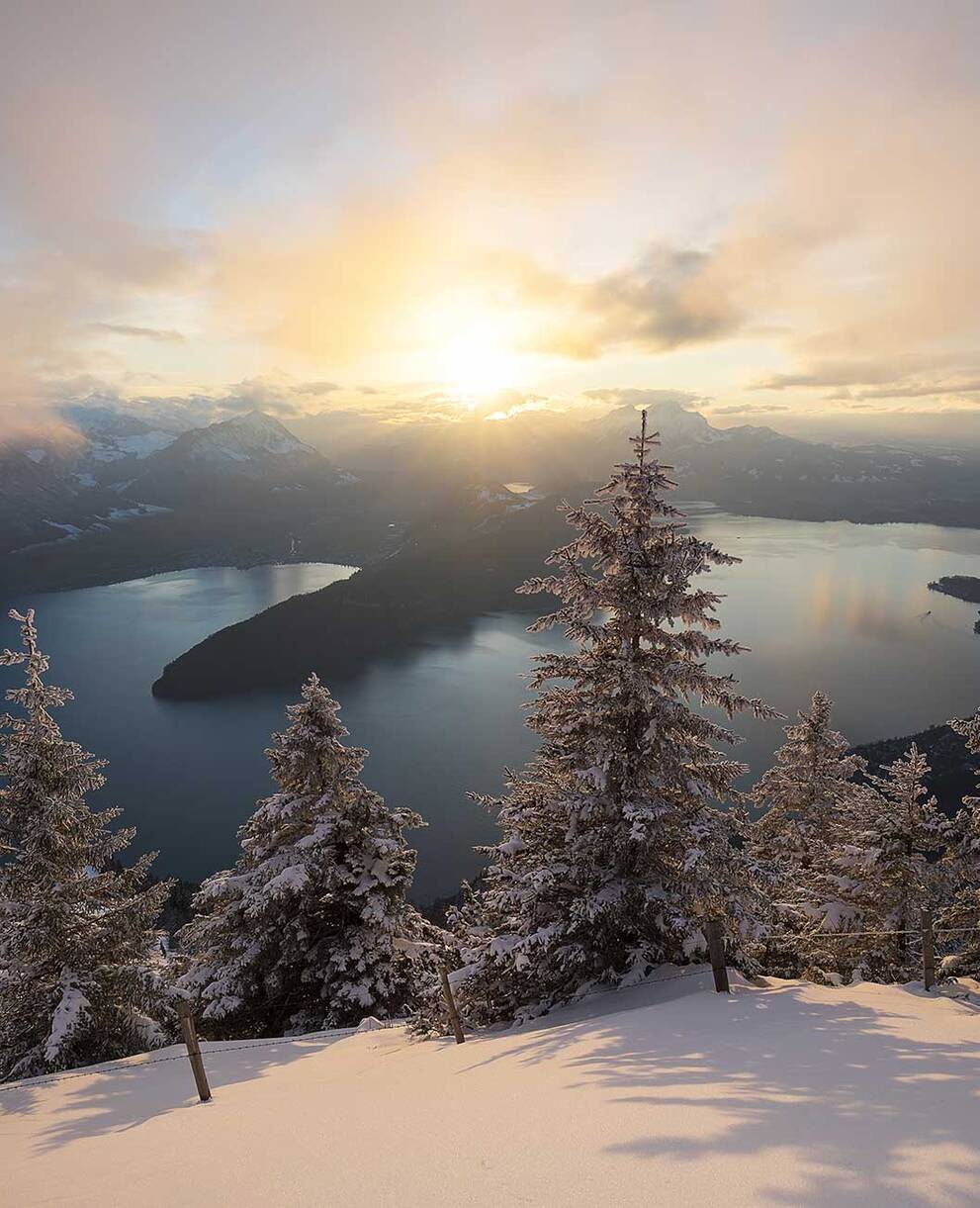 Tagesexkursion Pro Natura aktiv: Sonnenseite am Vierwaldstättersee im Winterkleid