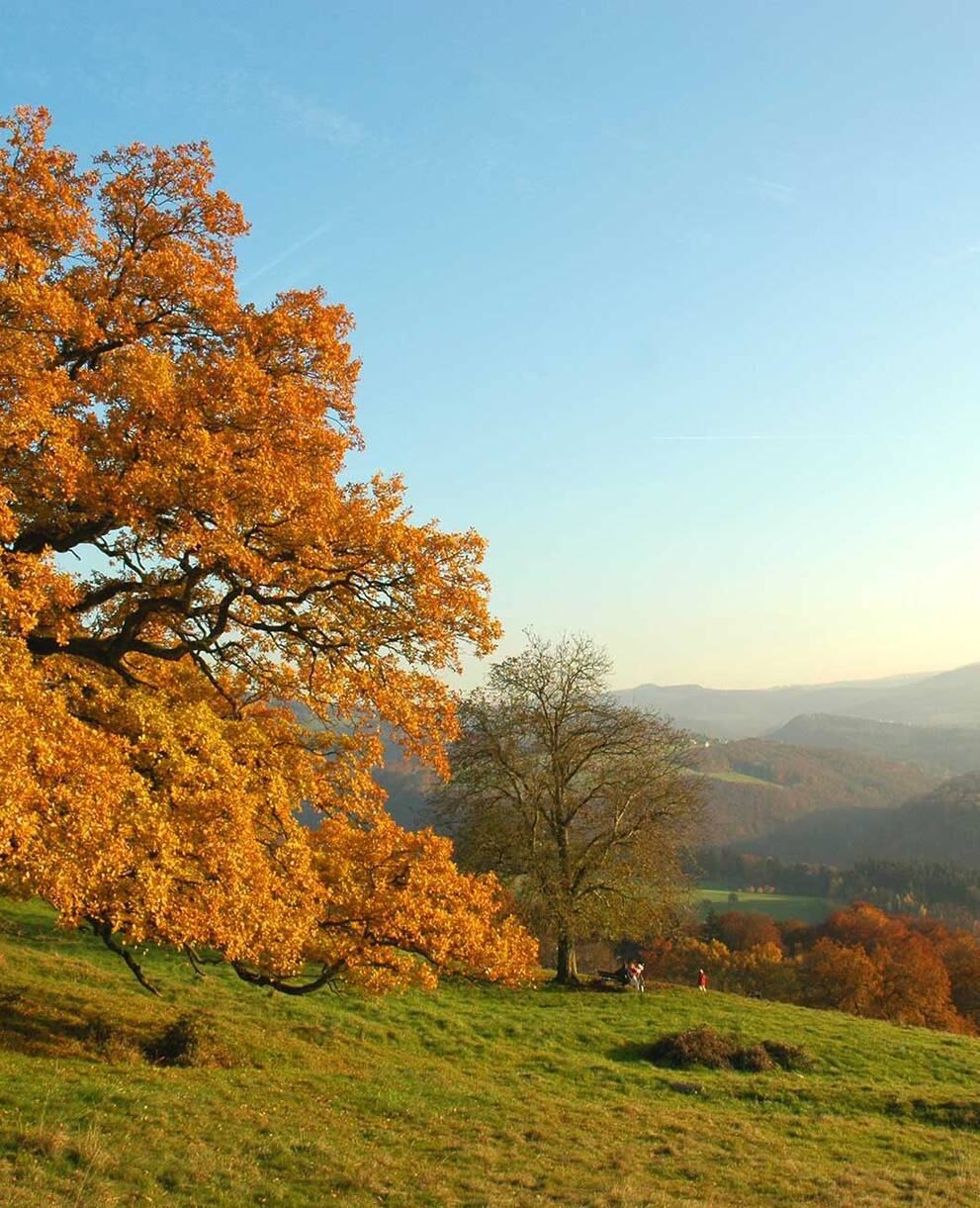Tagesexkursion Pro Natura aktiv Spaetherbst im Baselland