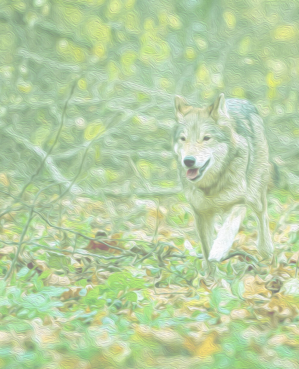Wolf im Wald, verfremdet