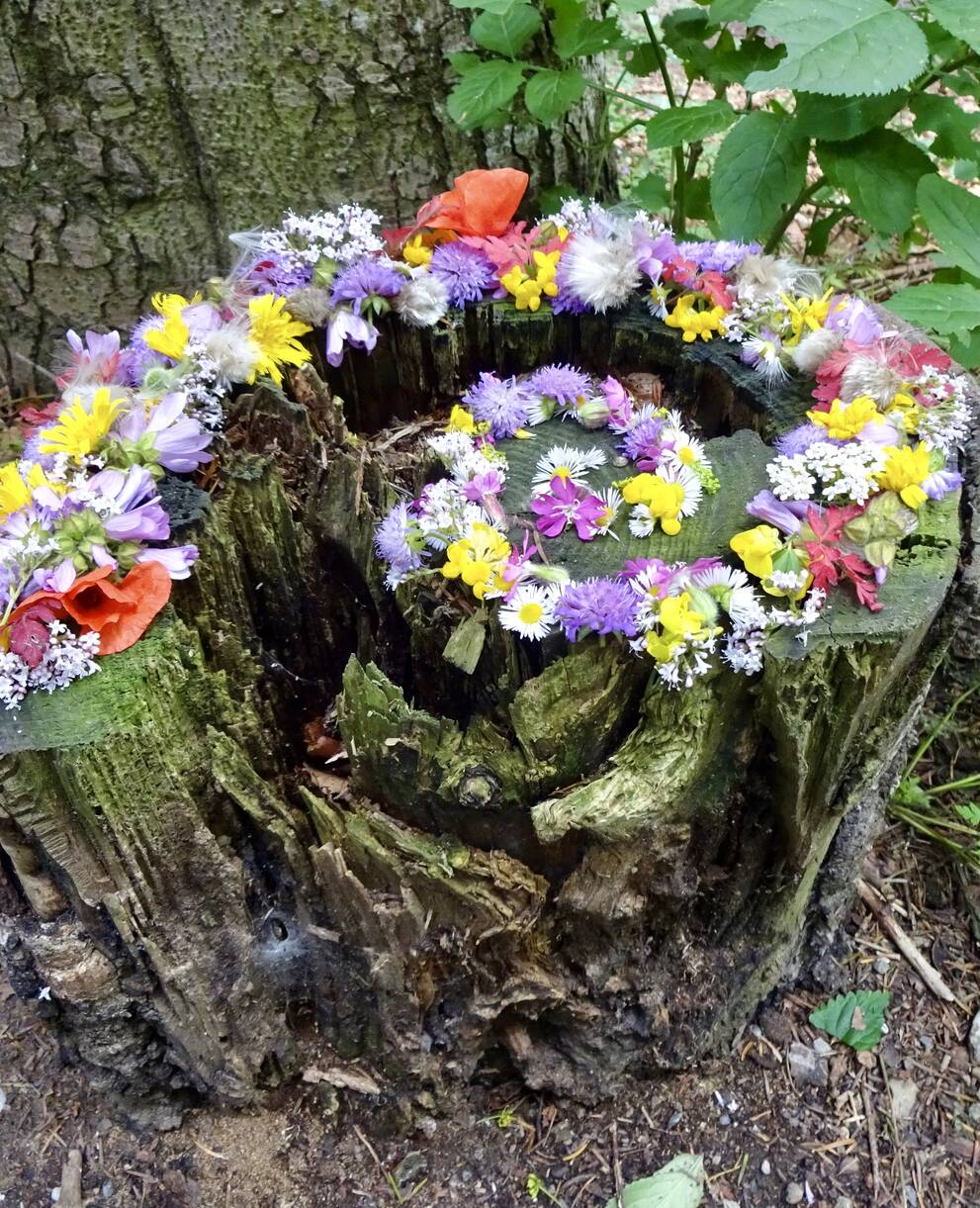 Schneckenspirale August (Name Pro Natura bekannt)