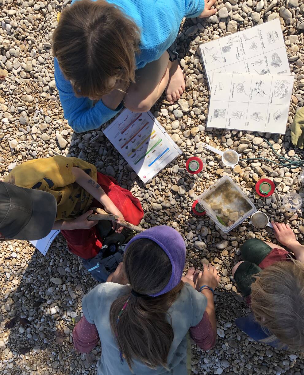 Ferienangebot WildStadtGarten