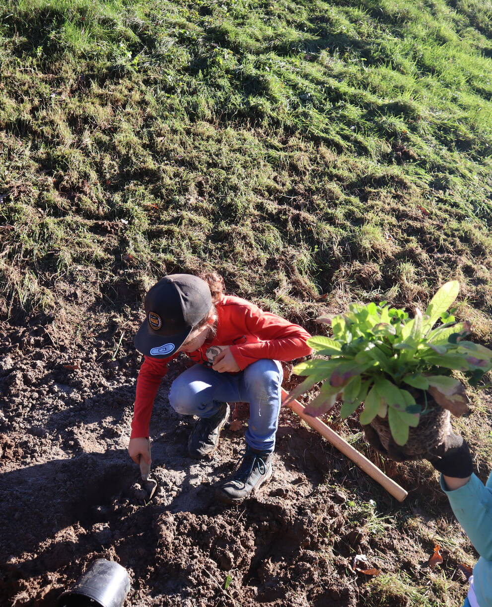 Grüner Daumen im Einsatz