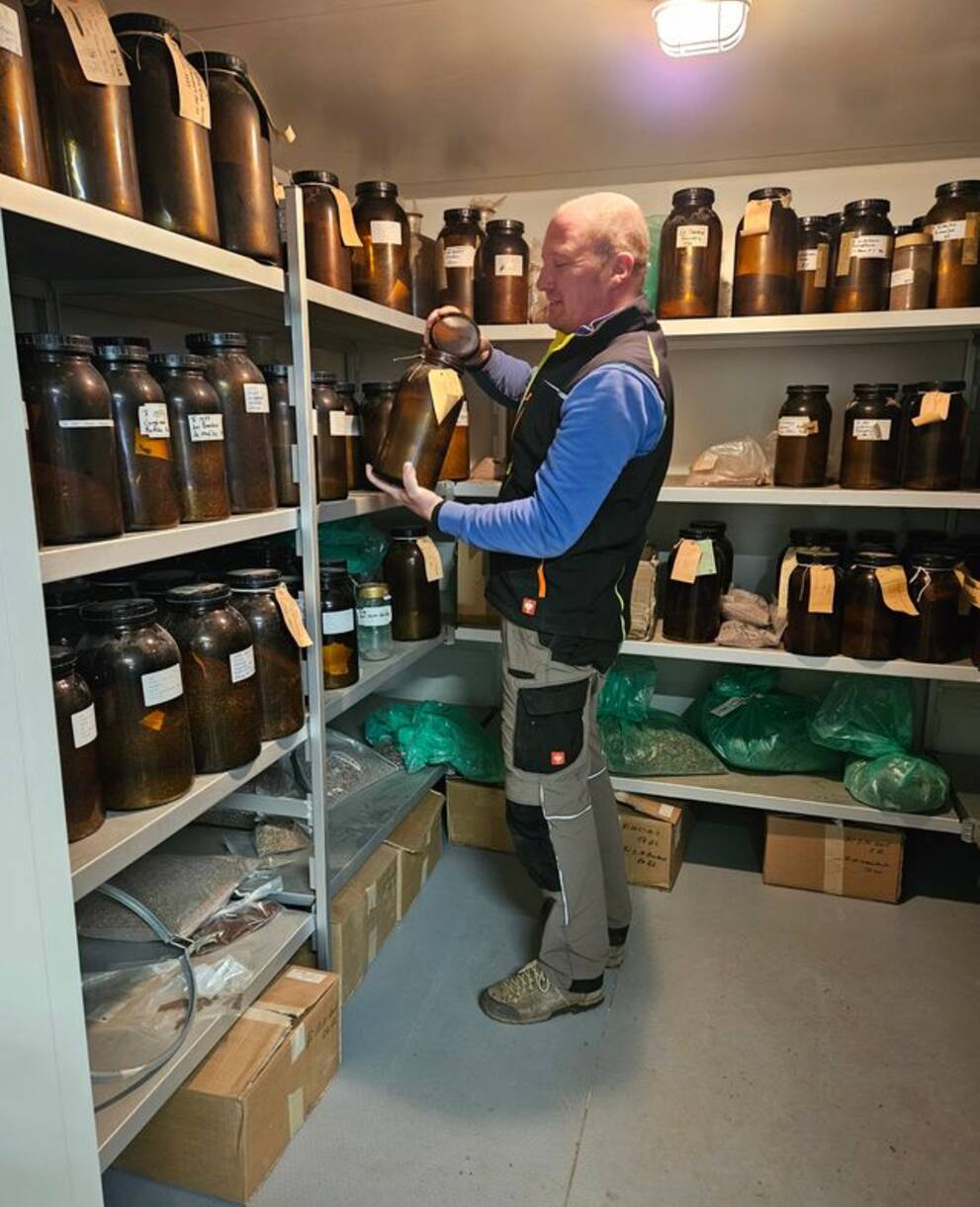 Kühlkammer zur Samenaufbewahrung im Forstgarten Lobsigen