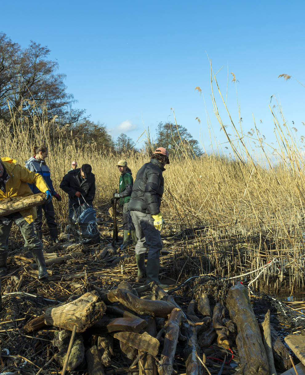 bénévoles retirant le bois des Grangettes
