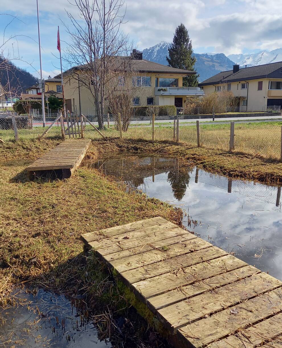 Lehrgarten Stansstaderried nach Pflegeeinsatz