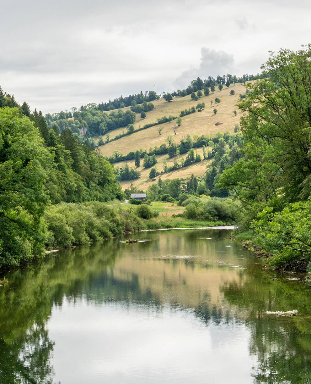 Pro Natura Schutzgebiet Claribief Kanton Jura