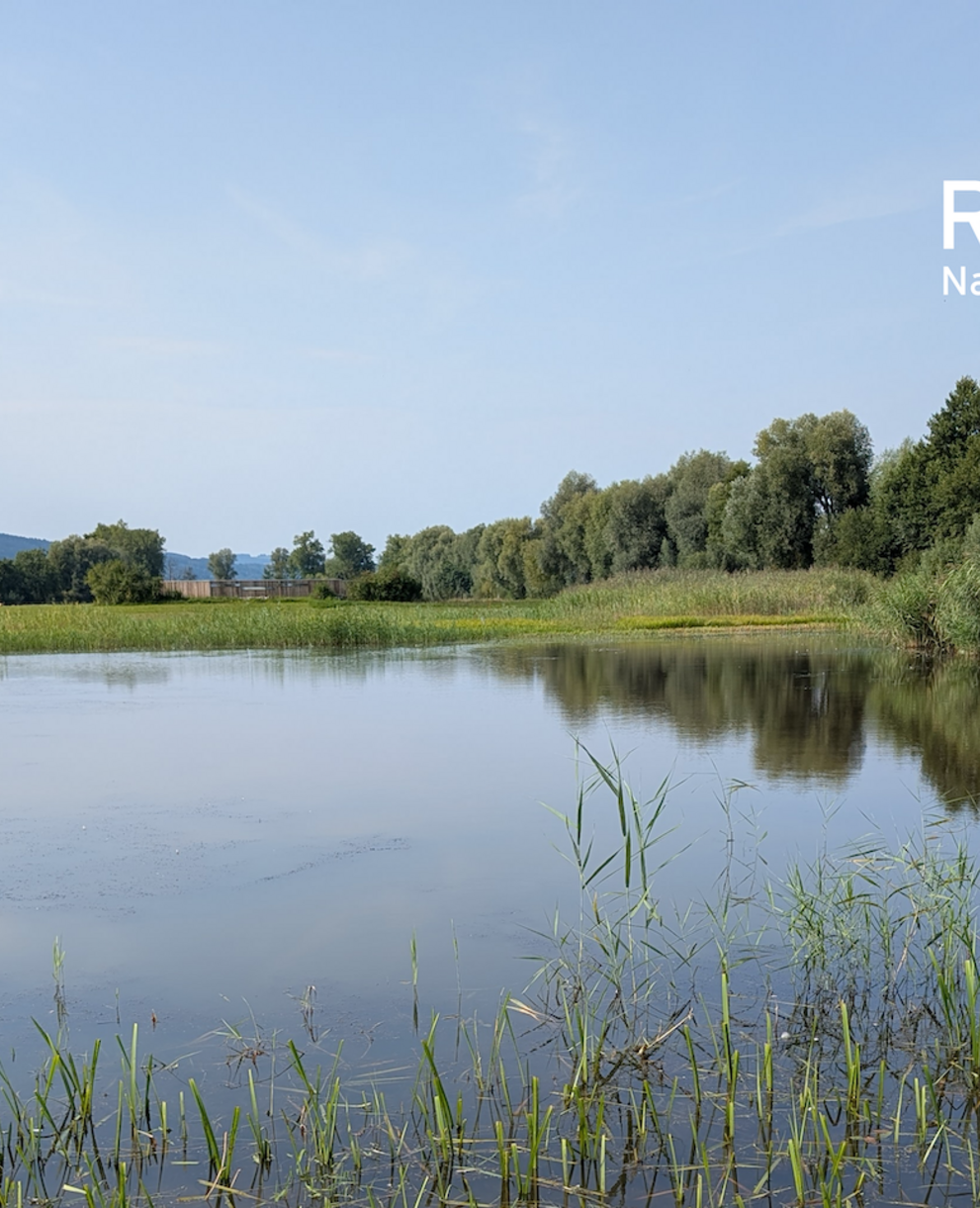 Ronfeld Flutmulden. Foto: Samuel Ehrenbold