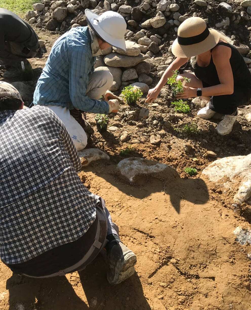 Arbeitseinsatz Wildbienen