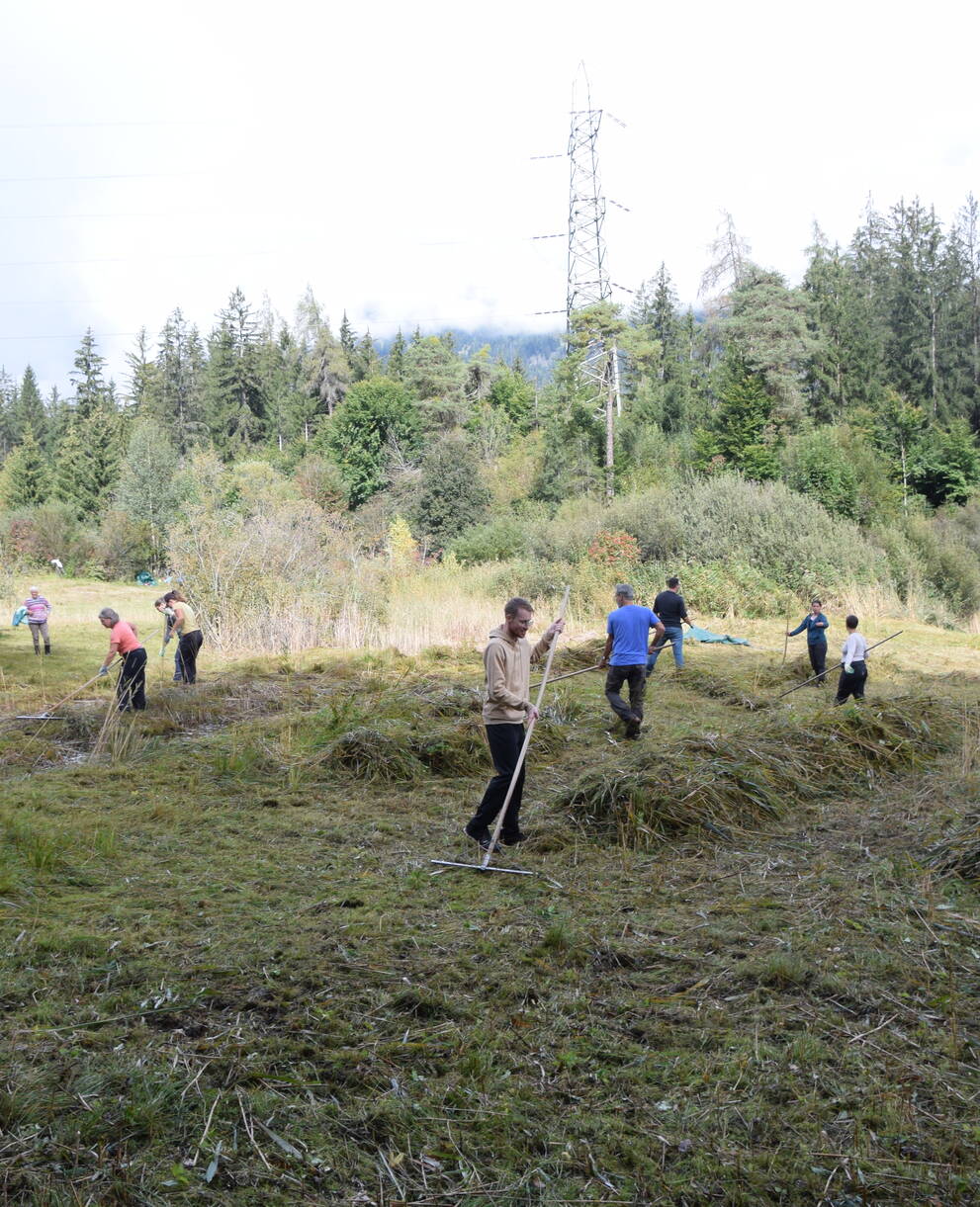 Moorpflege im Schutzgebiet Weihermühle