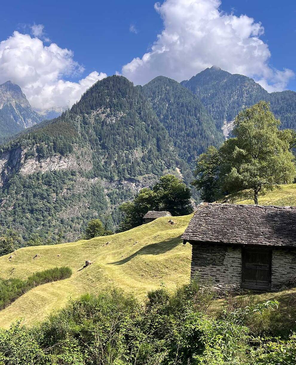 Vacances en faveur de la nature, Soazza, Val Mesocco, Grisons