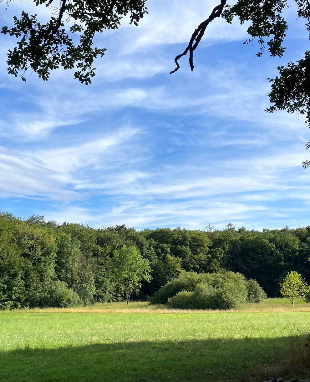 bois_de_chenes_cr_stephanie_massy