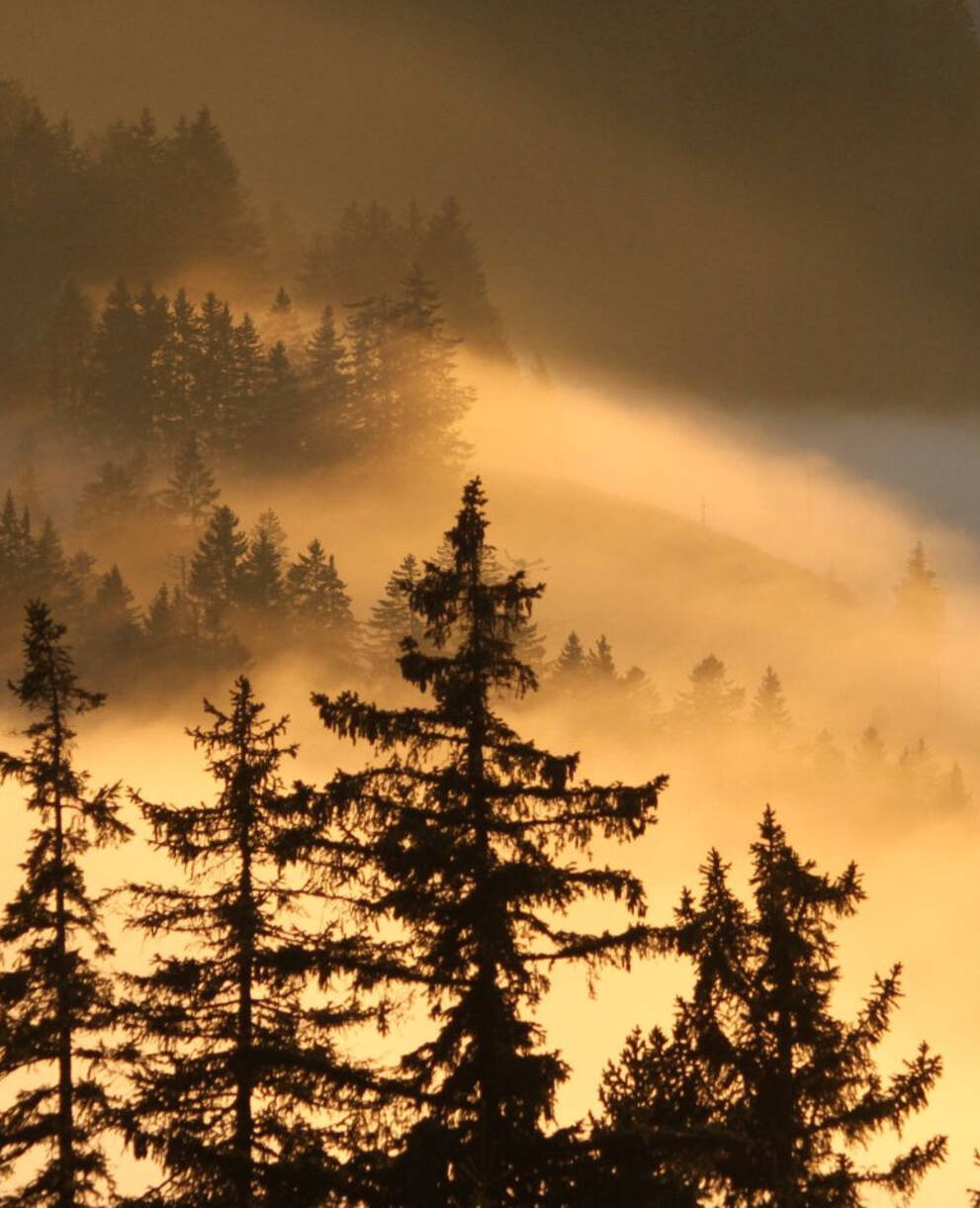 La Berra dans la brume