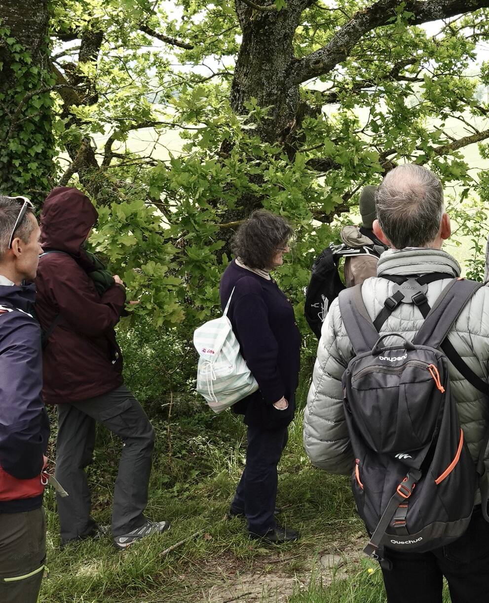 christophe_estermann_et_groupe_cr_giulio_genoni