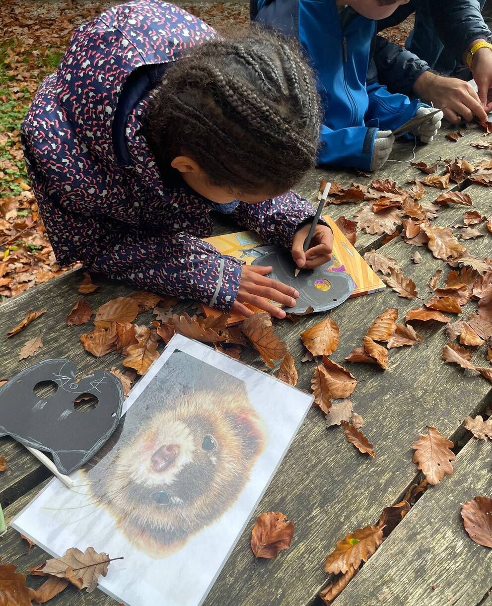 Dessin masque putois