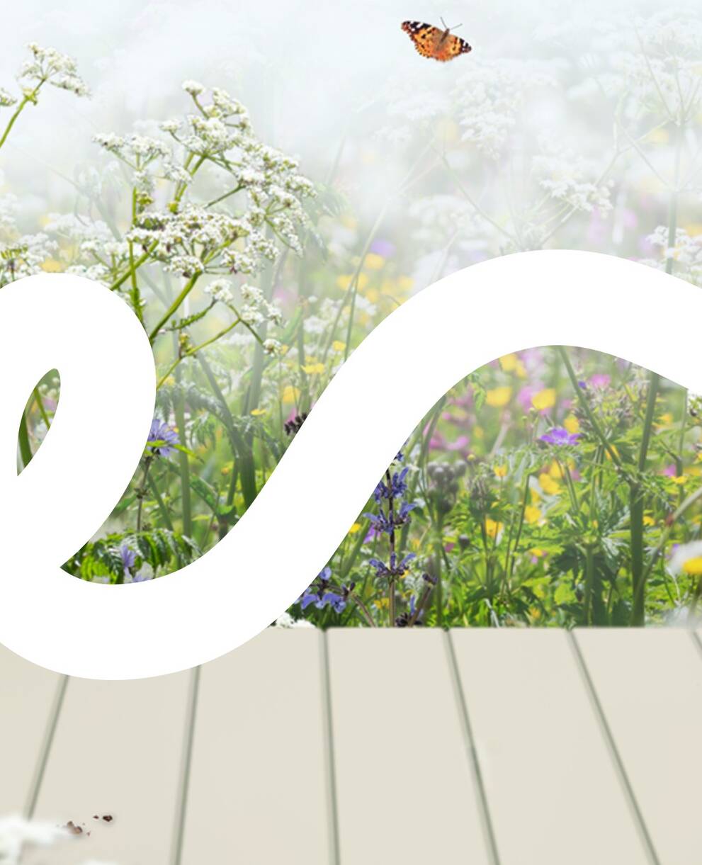 Wildpflanzen- und Kräutermärkte von Pro Natura Baselland