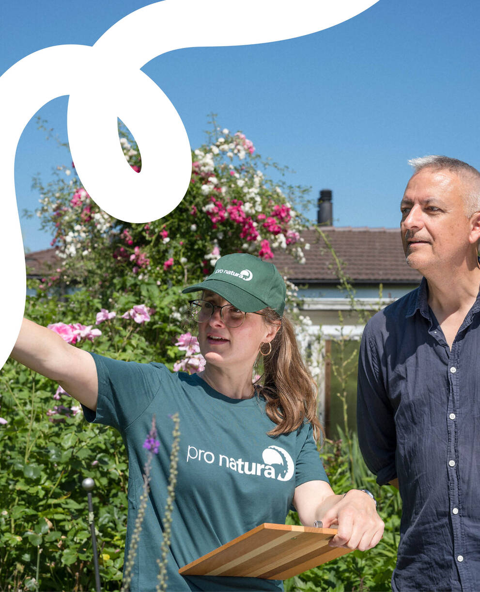 Headerbild BONJOUR NATURE