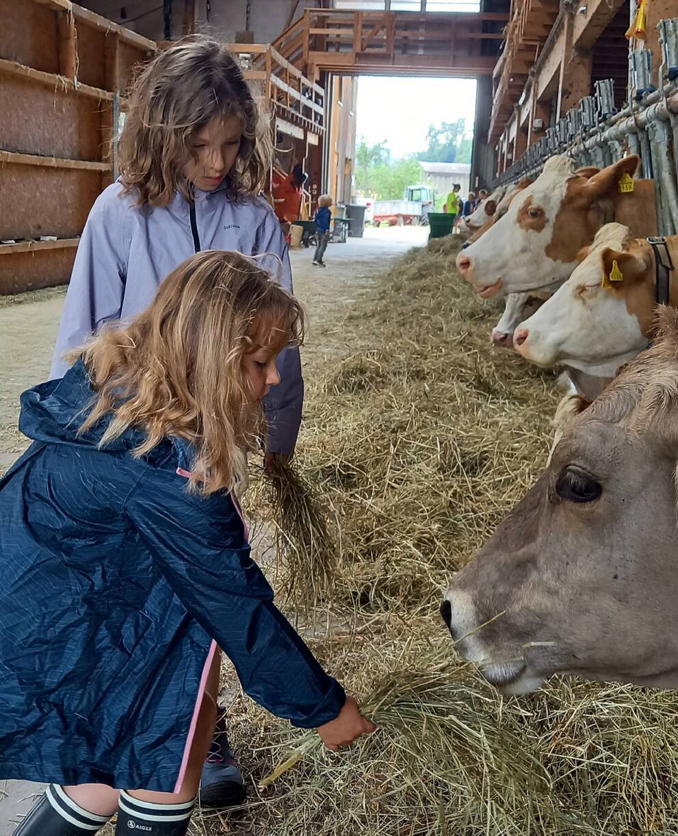 mini-camp_ferme_2025