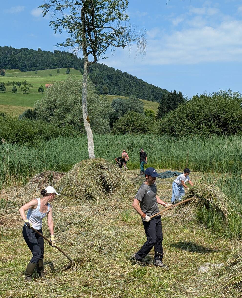 Arbeitseinsatz im Moosried
