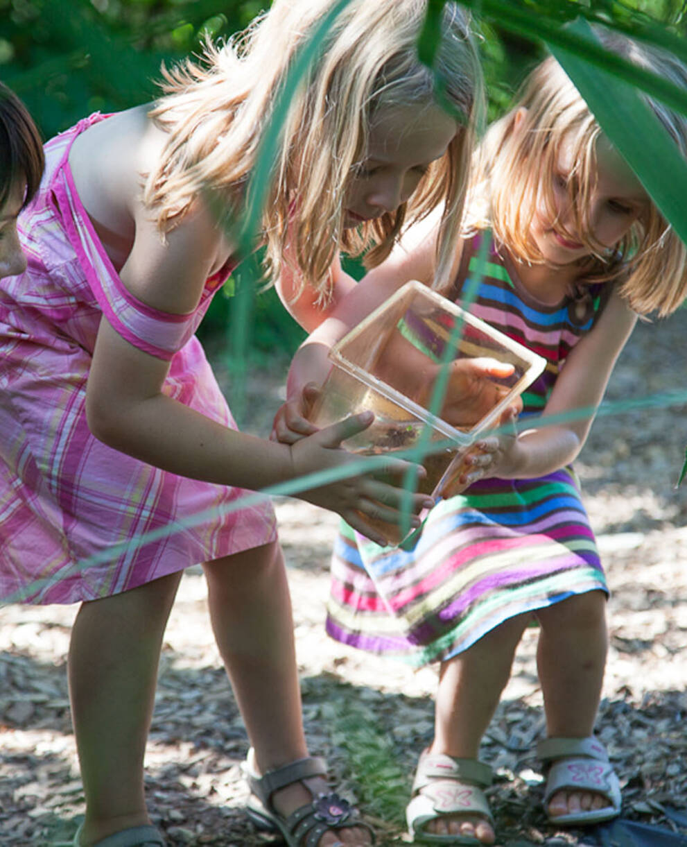 Premières découvertes