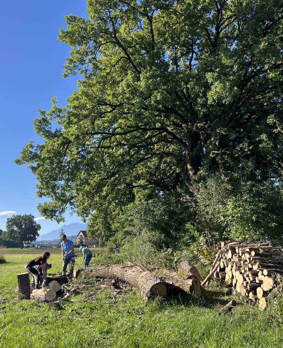 Praktischer Naturschutz