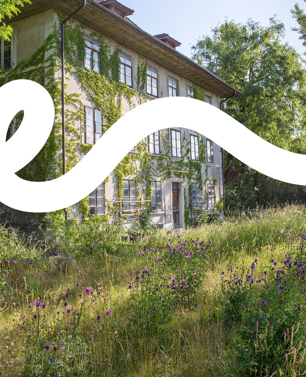 Schmetterlingsgarten