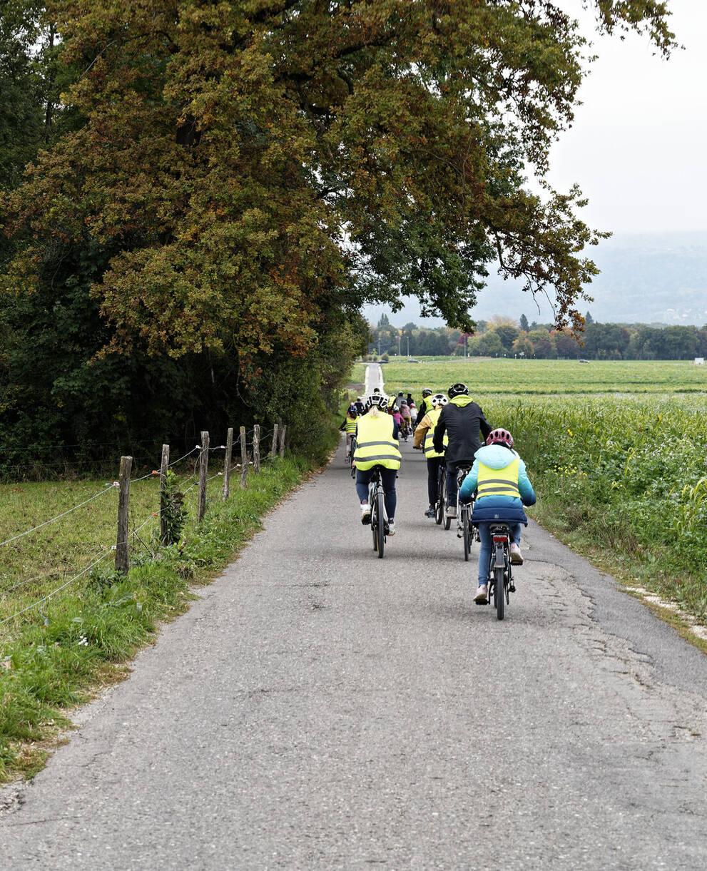 Nature à vélo