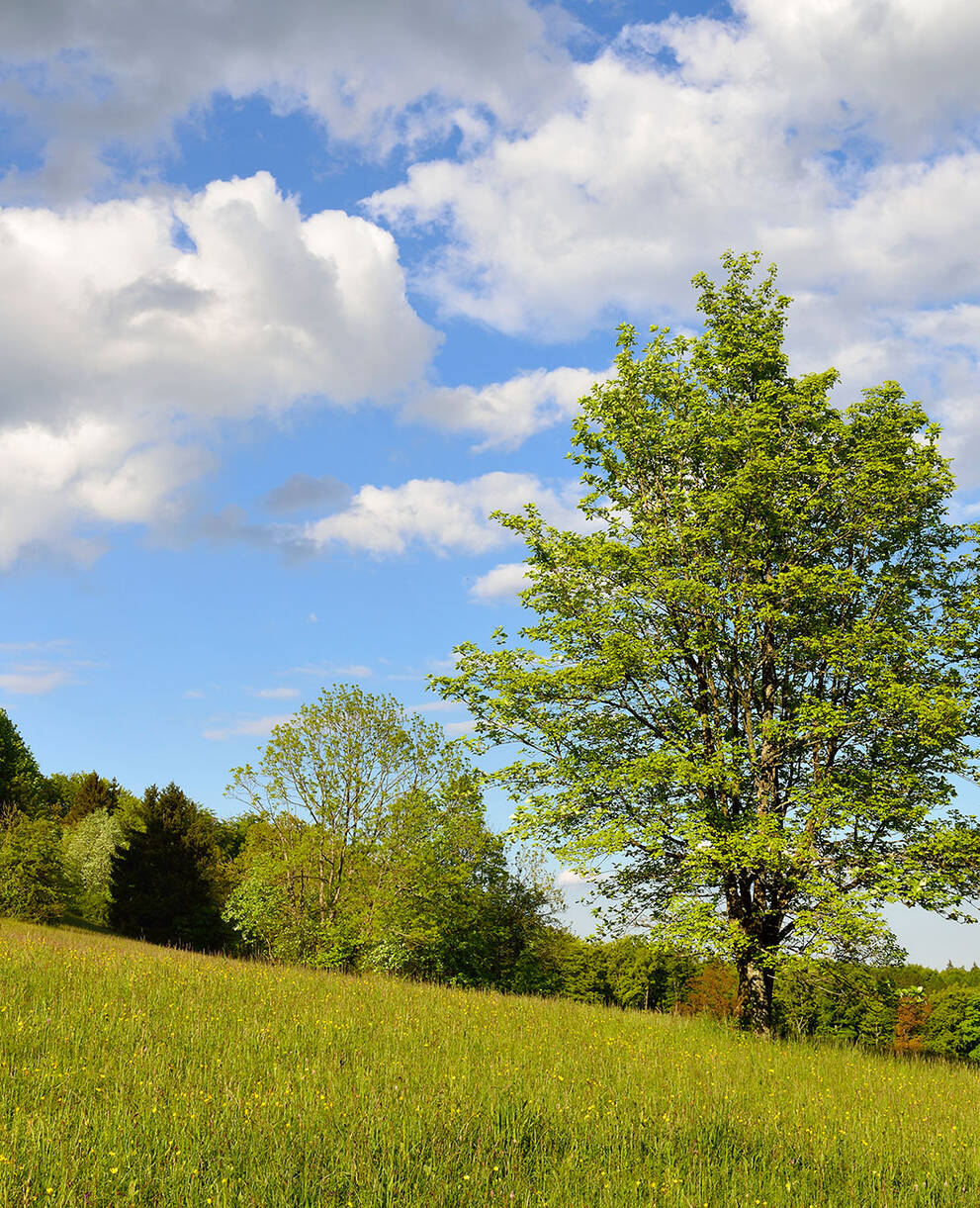 Tagesexkursion Historischer Randenübergang Schaffhausen-Beggingen