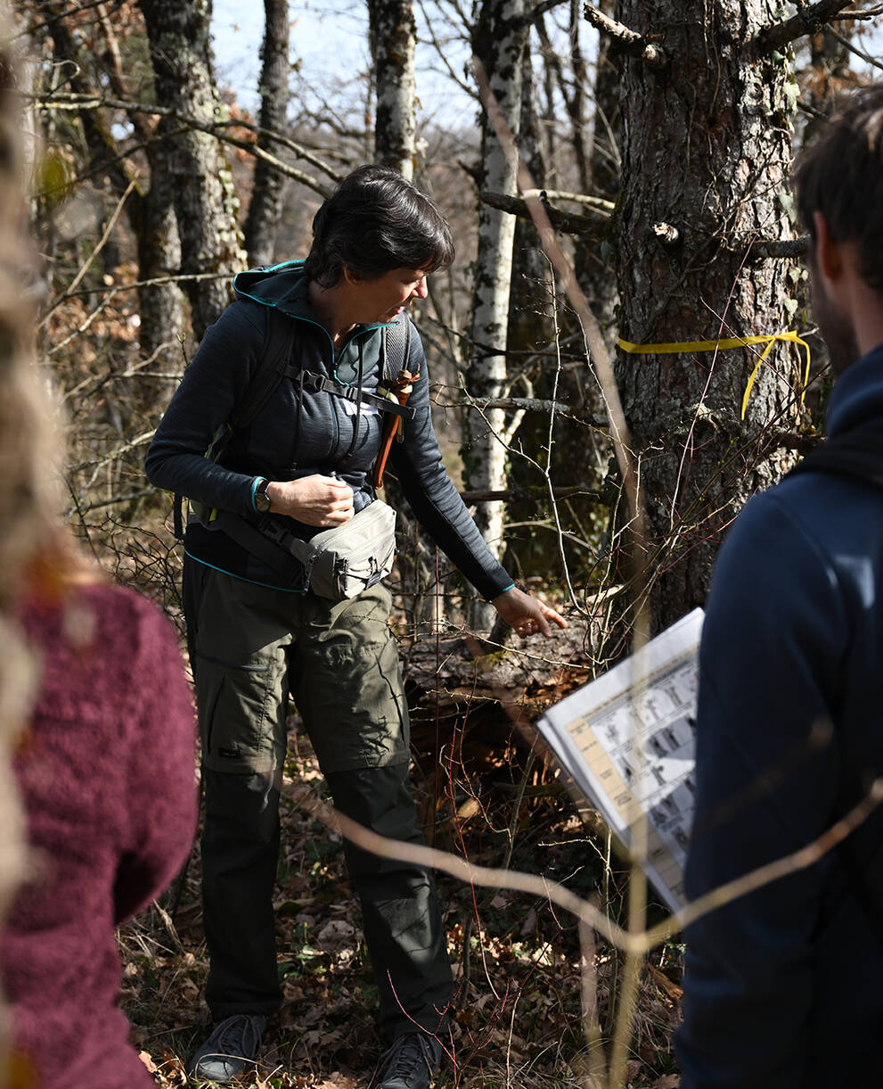 Kursleiterin erzählt von den Baummikrohabitaten bei einem Baum stehend