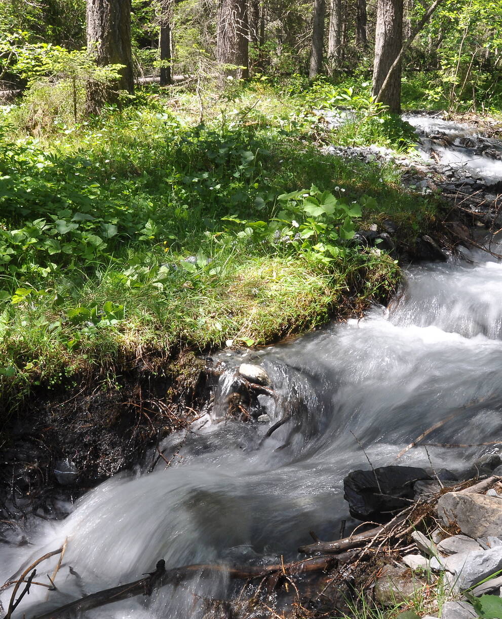Alpine Auenlandschaft im Berner Oberland. ©Raphael Weber