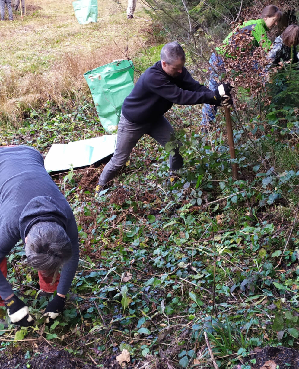Moorpflege Enzenau © Heidi Schuler