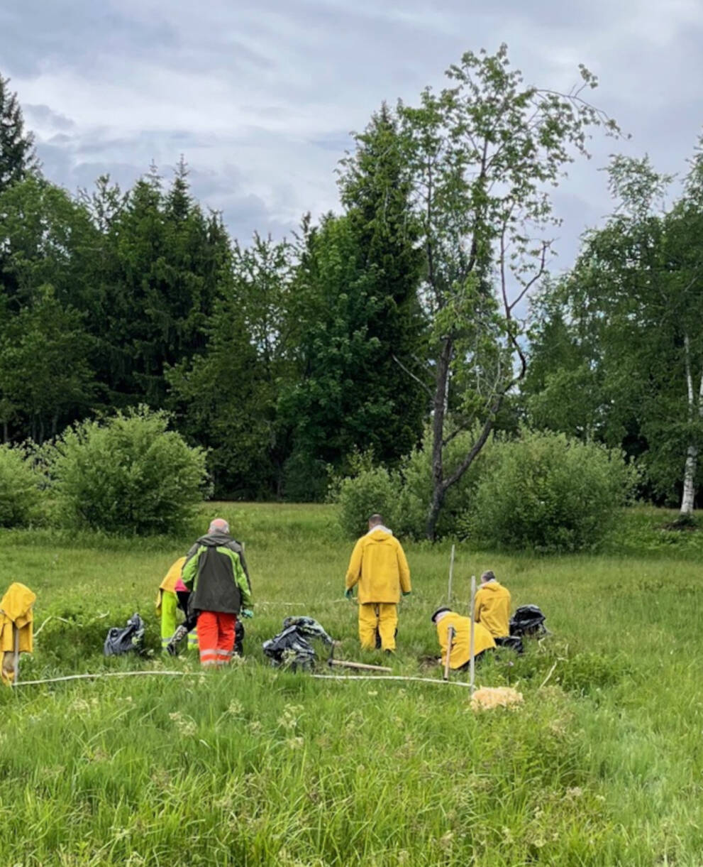 Neophytenbekämpfung Roblosen © Martin Stieger