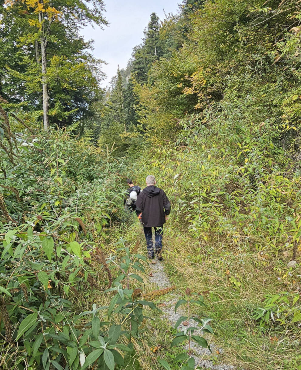 Tramtrasse Brunnen-Morschach © Michael Erhardt