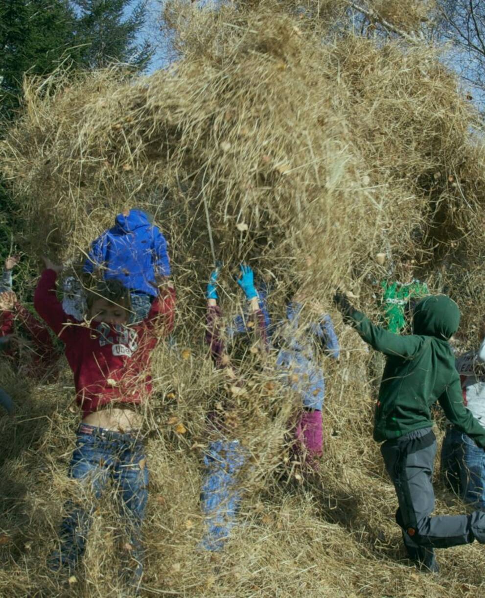 Banner VolonTerra 2026. © Pro Natura