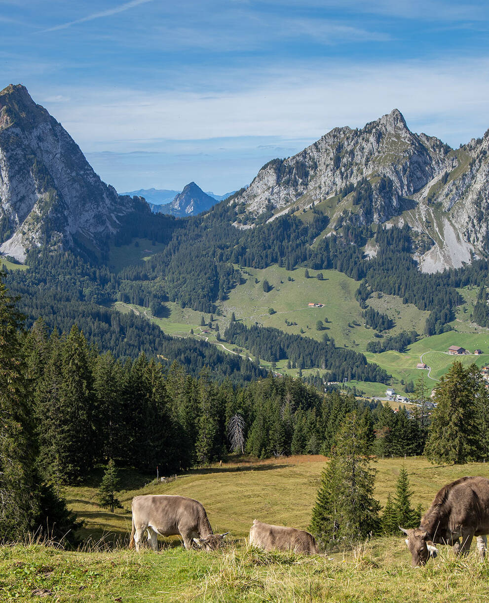 Tagesexkursion, drei Kontinente in einem Tag, Geologie rund um die Mythen SZ