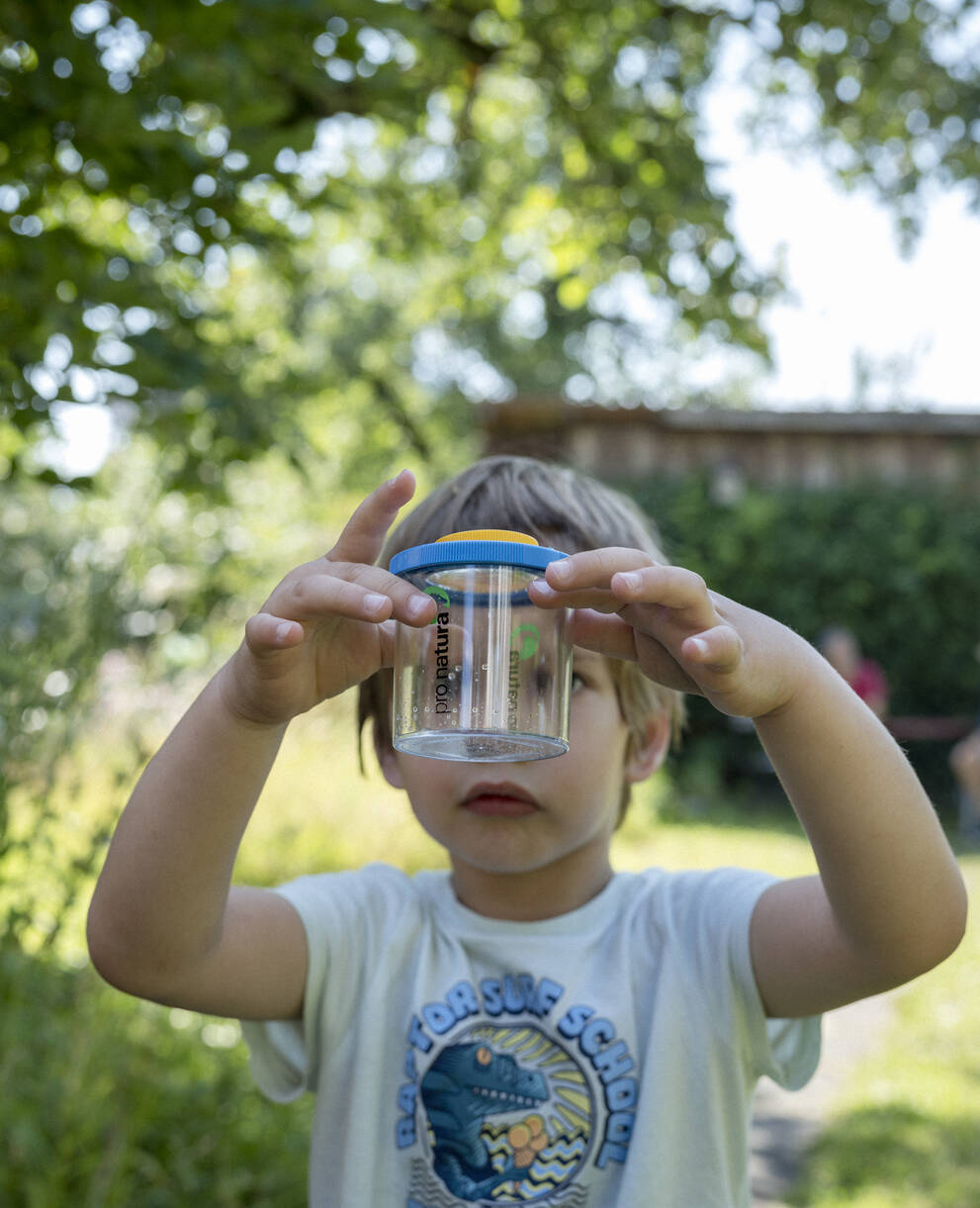 Unterrichtsmaterial Insekten Pro Natura 