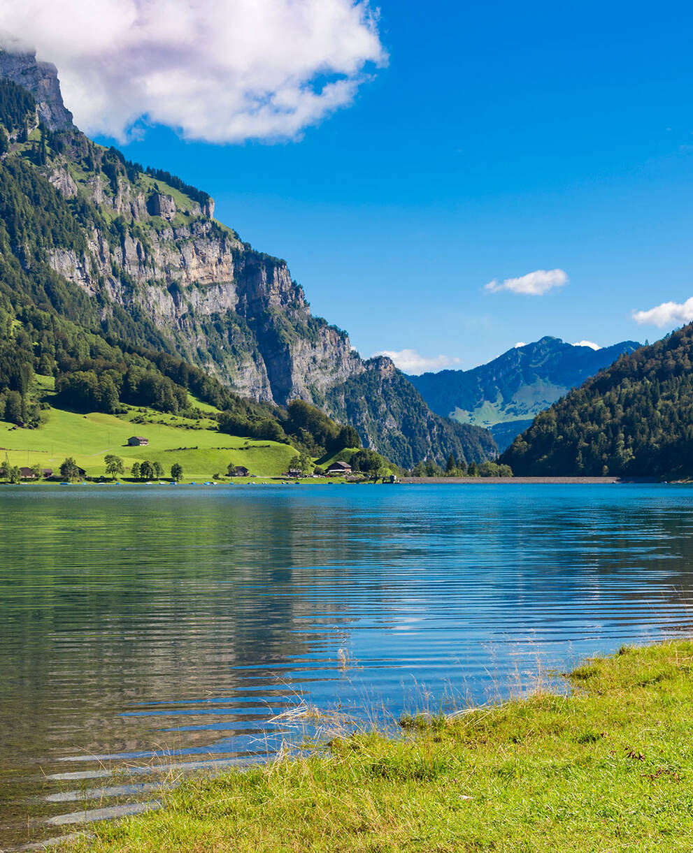 Tagesexkursion seltene Blüten unter mächtigen Felswänden, Klöntalersee GL