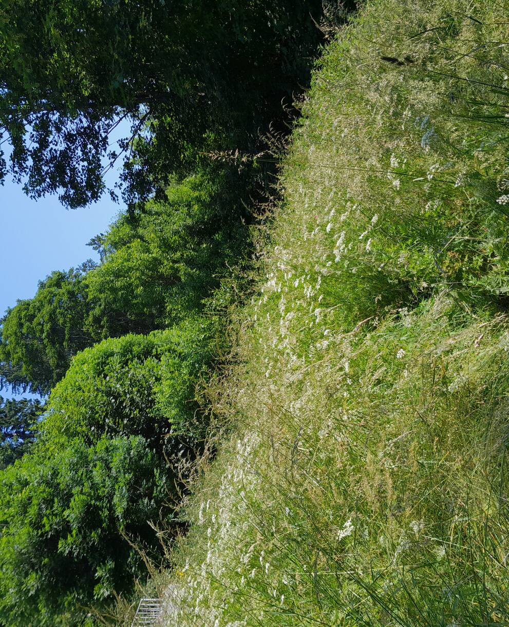 Côtes des Billodes
