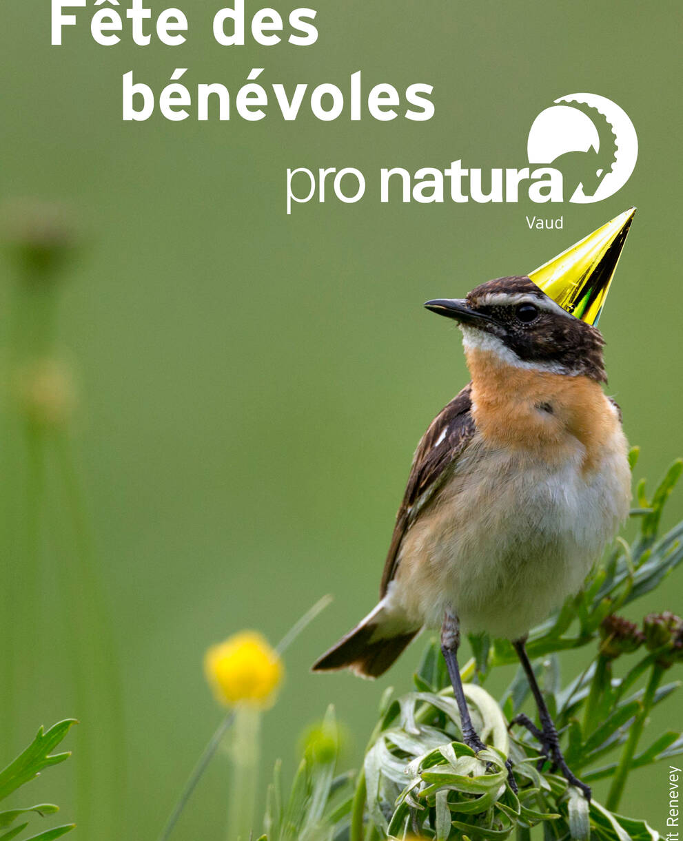 Fête des bénévoles