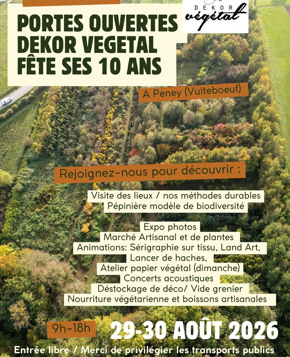 Dekor Vegetal