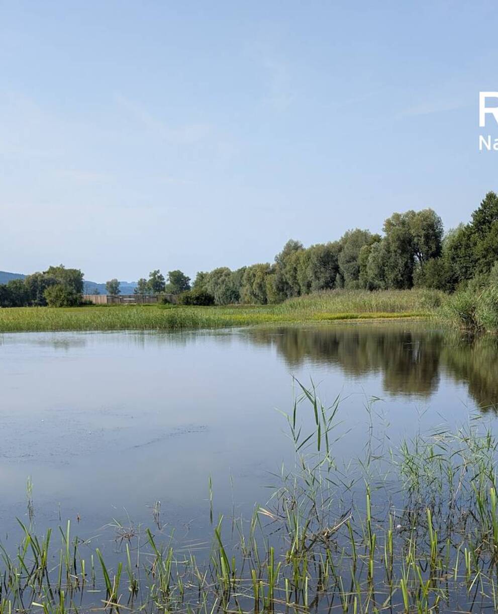 Blick übers Ronfeld