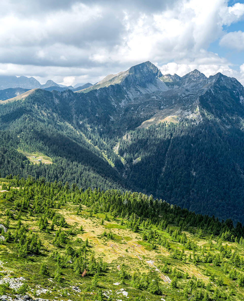 Vista verso la riserva forestale della Valle di Lodano (TI)
