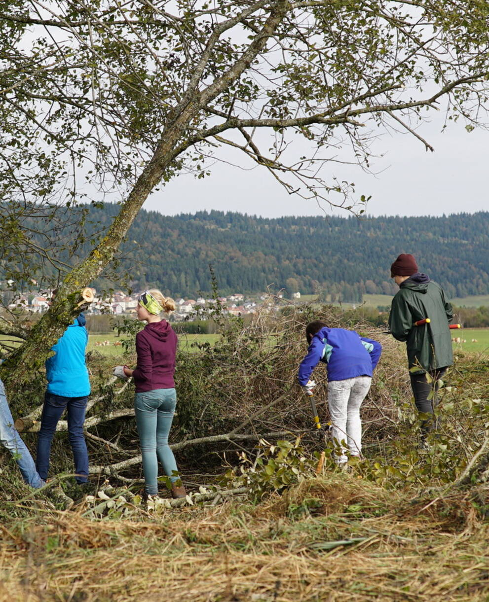 Arbeitseinsatz Jugend Baum 