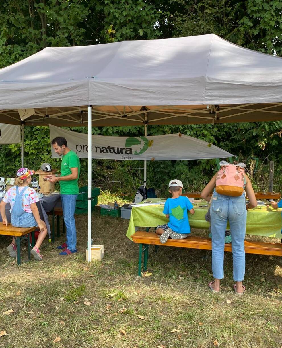 Stand