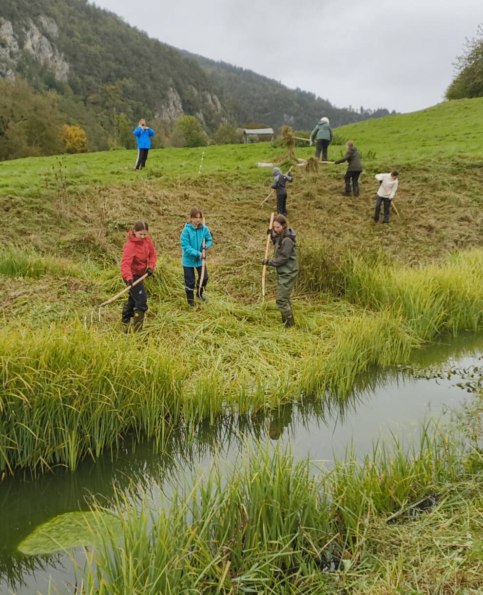 Weiher im Grüngi, Balsthal