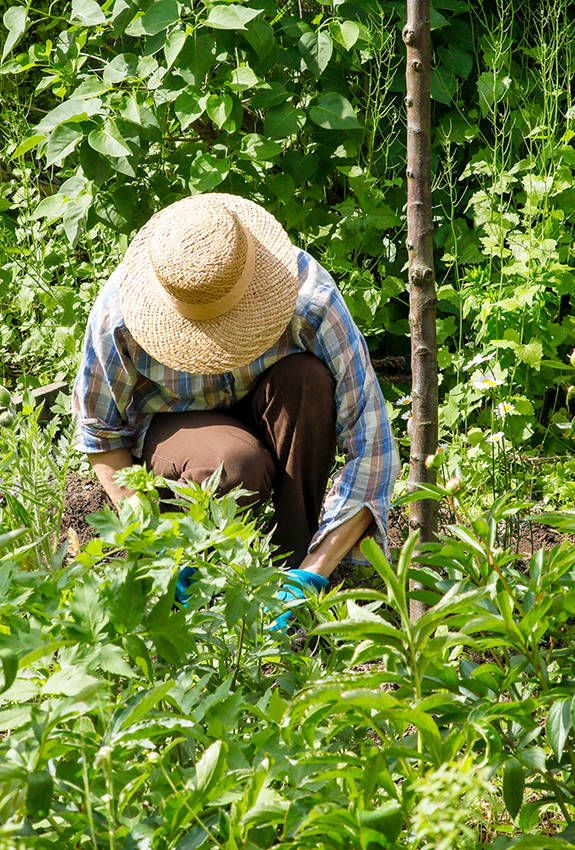 Frau an der Gartenarbeit im Naturgarten