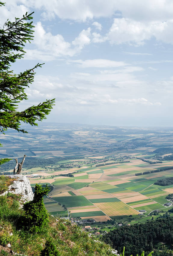 Symbolbild für Raumplanung - Blick von einem Hügel aus auf die Landschaft mit ihren bewirtschafteten Felder.