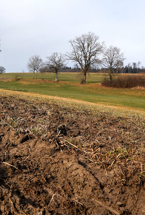 Umgepflügter Ackerboden im Herbst