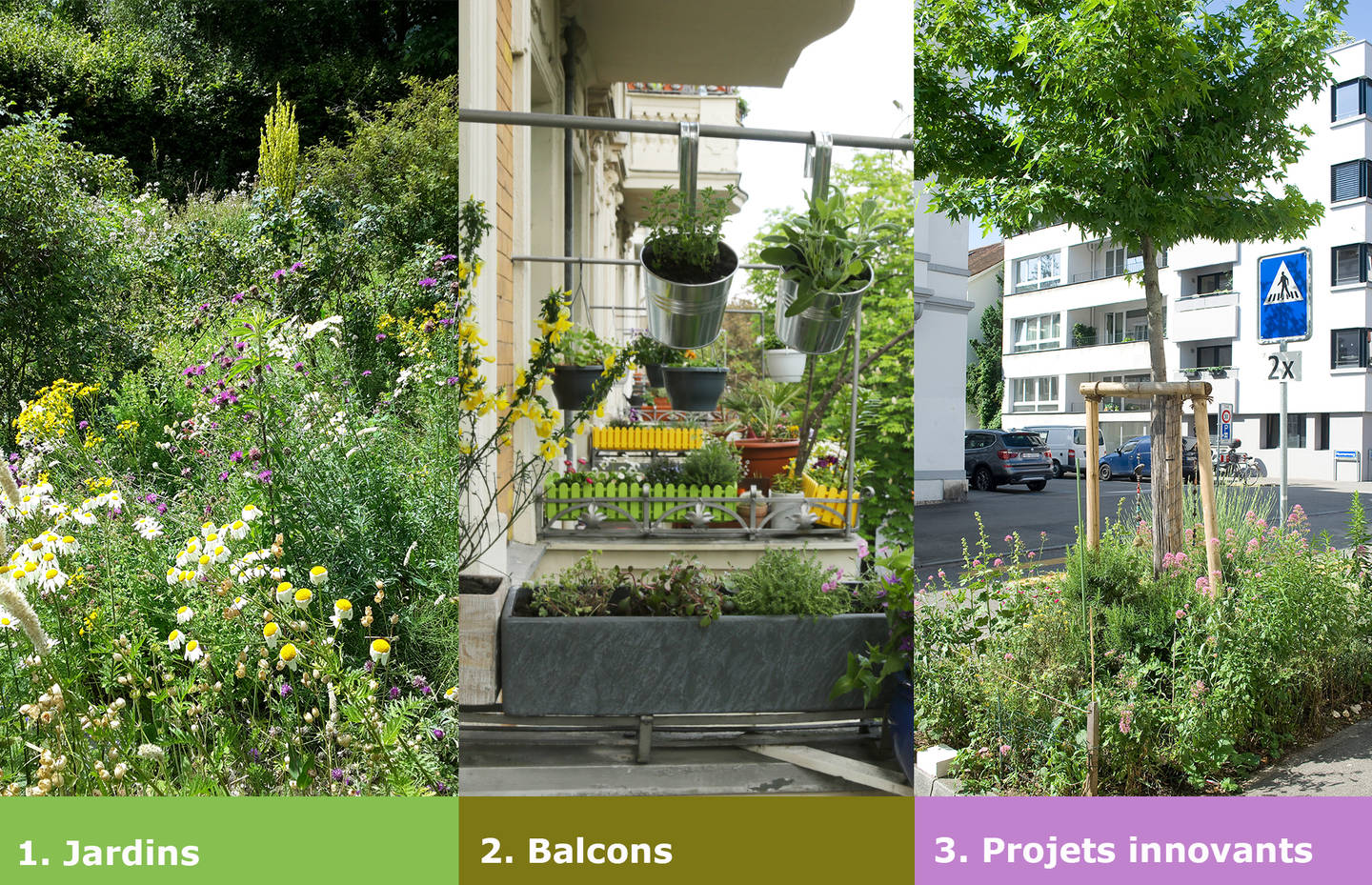 Jardin Naturel